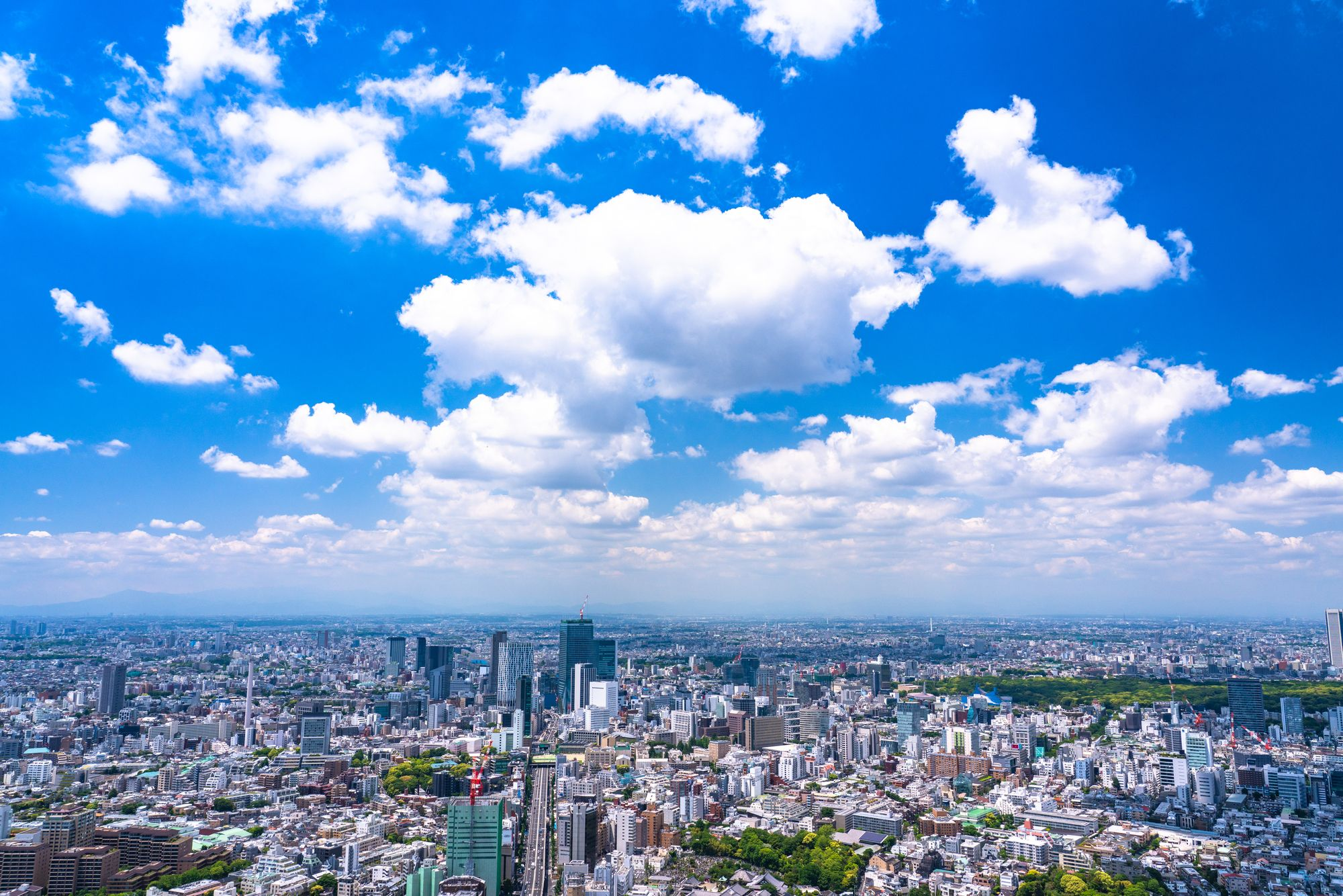 新電力とは？登場した背景や切り替えの方法を徹底解説