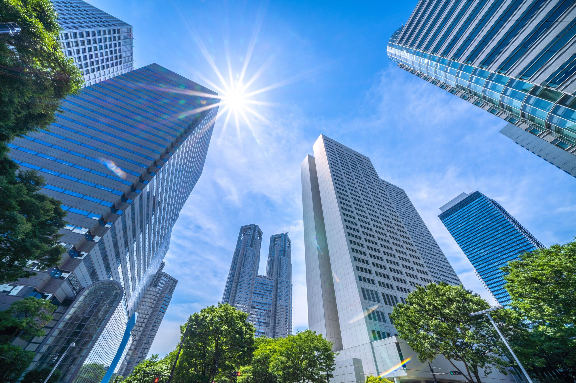 容量市場が新電力に与える影響とは？中小企業による新電力選びのポイントも解説