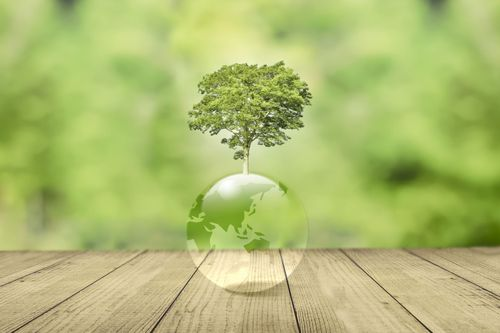 電気料金の削減はCSR活動に繋がる？
